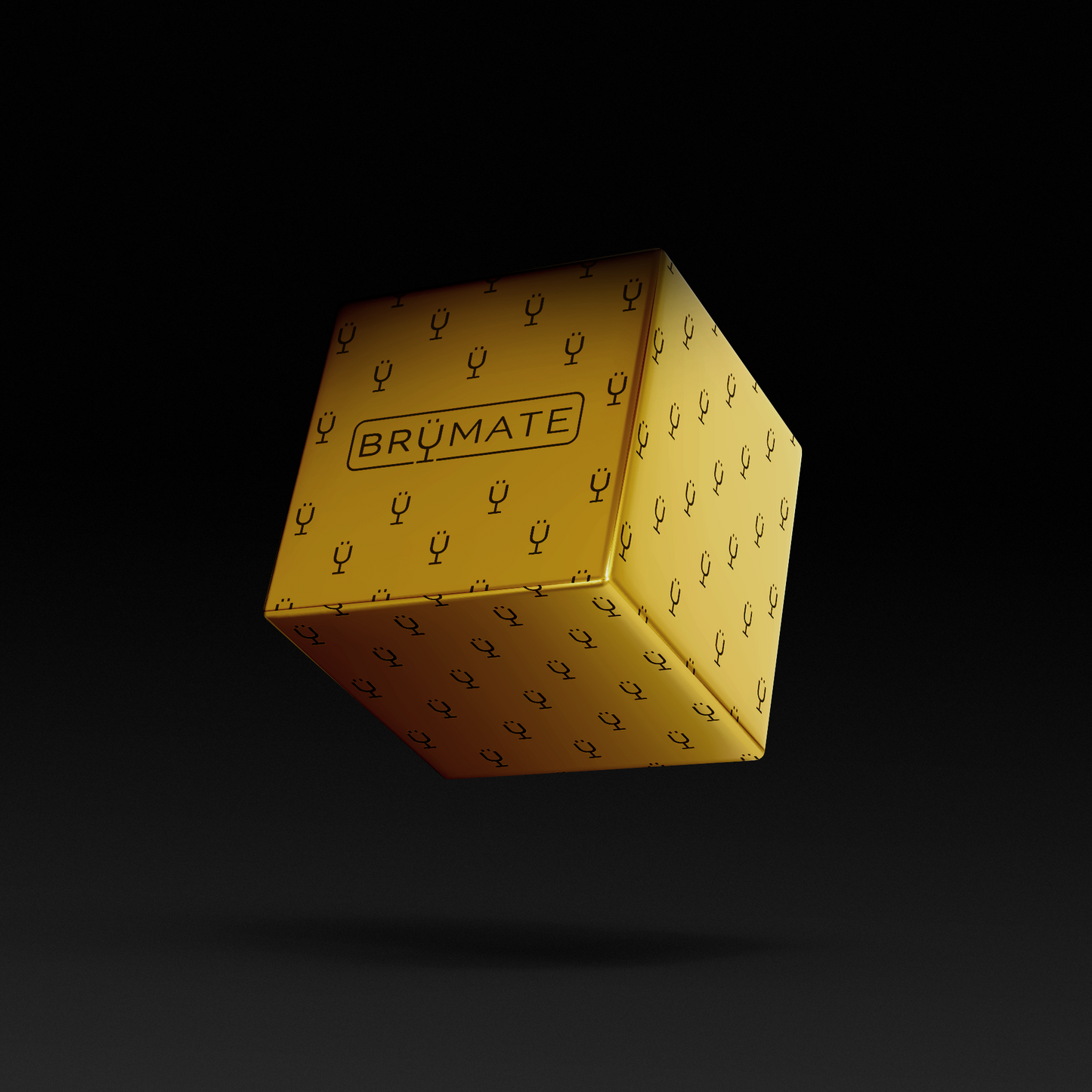 premium-mystery-item-39-70-value-w5 IMG-1548.png